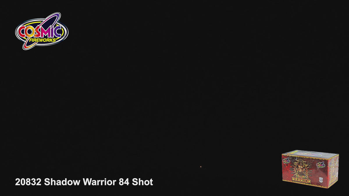 Shadow Warrior